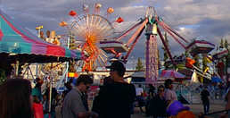 Tanana Valley Fair Ferriswheel