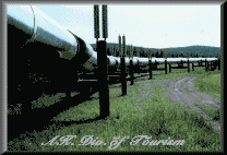 Trans Alaska Pipeline 