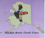 Turtle Tours Logo
